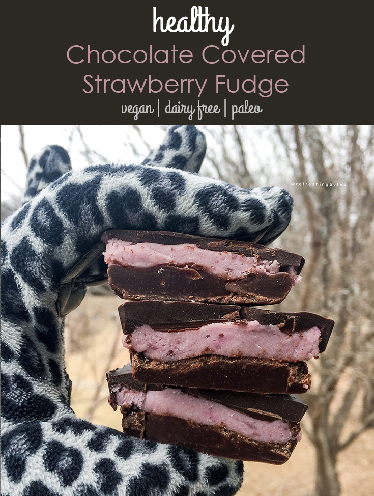 Chocolate Covered Strawberry Fudge Vegan